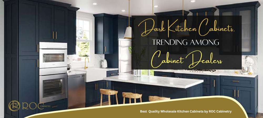 Dark kitchen cabinets for wholesale cabinet dealers in Florida